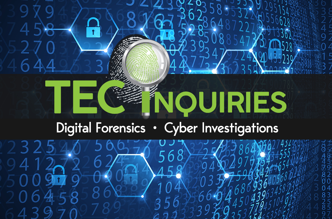 what-are-the-most-common-types-of-cyber-crimes-seen-by-tec-inquiries